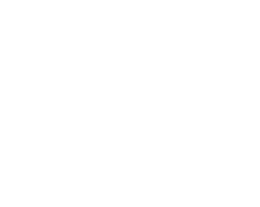 IDPA logo white